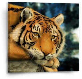 Sablio Obraz tiger - 50x50 cm