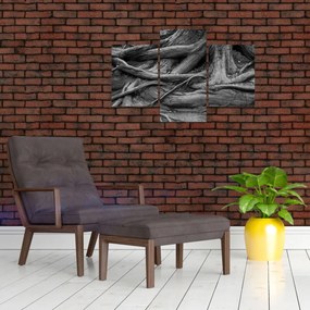 Obraz - Korene stromu (90x60 cm)
