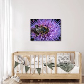 Sklenený obraz včely na kvetine (70x50 cm)