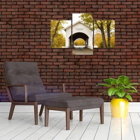 Obraz mosta v Oregone (90x60 cm)