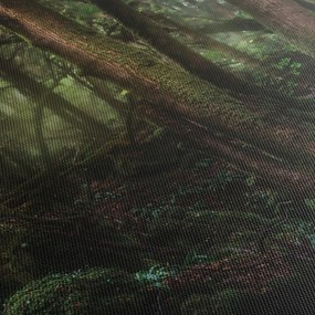 Obraz - Tajomný les (120x50 cm)