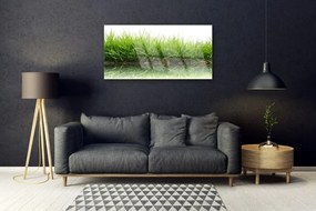 Obraz na skle Tráva voda príroda rastlina 125x50 cm