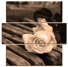 Obraz na plátne - Biela ruža na lavici - štvorec 3224FD (105x105 cm)