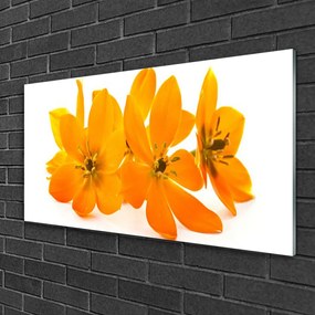 Obraz na skle Oranžové kvety 140x70 cm