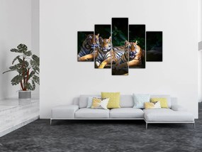 Obraz - Tigrii bratia (150x105 cm)