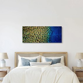 Obraz - Pávie perie (120x50 cm)