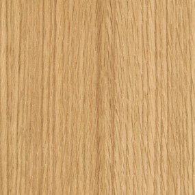 Knižnica v dekore duba v prírodnej farbe 150x198 cm Berlin – TemaHome
