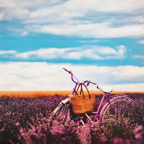 Obraz tlačený na plátne 50x50 PRC1121