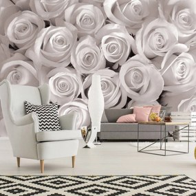 Fototapeta - Biele ruže (254x184 cm)