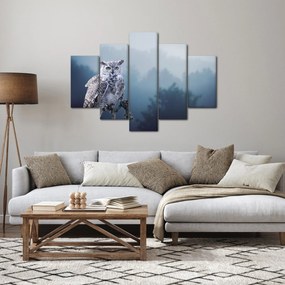 Obraz - Sova snežná (150x105 cm)