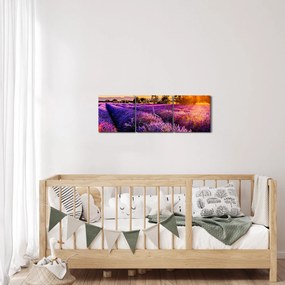 Obraz levanduľového pole, Provence (s hodinami) (90x30 cm)