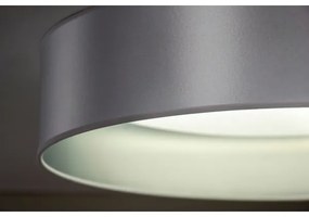 Duolla - LED Stropné svietidlo ROLLER LED/24W/230V pr. 45 cm strieborná