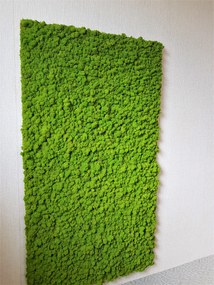 Machový panel 180cm x 100cm
