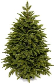 Umelý vianočný stromček v kvetináči FULL 3D Jedľa Kaukazská 100cm