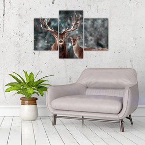 Obraz - Jeleň a laň v zasneženom lese (90x60 cm)