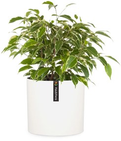 Fox & Fern Venlo, kvetináč, Polystone, interiér a exteriér, 3 veľkosti