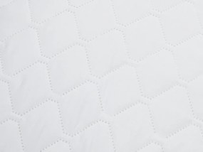 Vankúš z dutého vlákna DREAMSOFT 50x70 cm