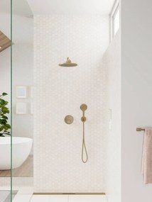 Hansgrohe Raindance Select S, ručná sprcha 120 3jet, kartáčovaný bronz, HAN-26530140