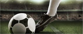 Obraz - Futbalová lopta (120x50 cm)