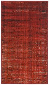 Koberce Breno Kusový koberec XENON 70/CC8R, červená, viacfarebná,67 x 120 cm