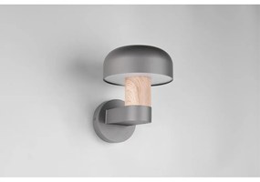 Nástenné vonkajšie svietidlo (výška 24,5 cm) Fraser – Trio