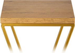 STOJAN NA KVETINÁČ LOFT6 100X24X24 CM ZLATÁ/HNEDÁ