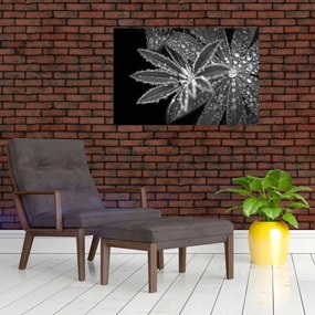 Obraz - Kvapky (90x60 cm)