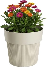 Květináč SILVA LINE 12,7x14,5 cm béžový