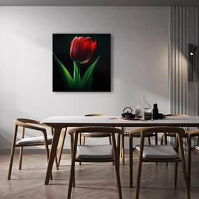 Obraz kvet tulipánu v noci