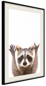 Artgeist Plagát - Raccoon [Poster] Veľkosť: 40x60, Verzia: Čierny rám s passe-partout