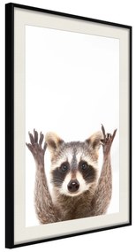 Artgeist Plagát - Raccoon [Poster] Veľkosť: 20x30, Verzia: Zlatý rám s passe-partout