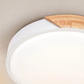 Brilagi - LED stmievateľné svietidlo PILANA LED/48W/230V dub/biela pr. 40 cm + DO