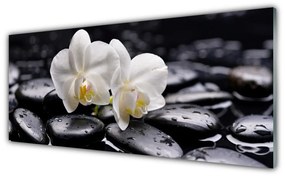 Obraz plexi Kamene zen biela orchidea 125x50 cm