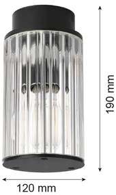 Argon 8773 - Vonkajšie stropné svietidlo NORFOLK 1xE27/15W/230V IP44 čierna