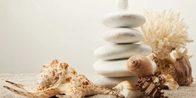 Obraz Zen kamene s mušľami Varianta: 100x50