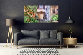 Obraz plexi Aleje kvety domy rastlina 120x60 cm