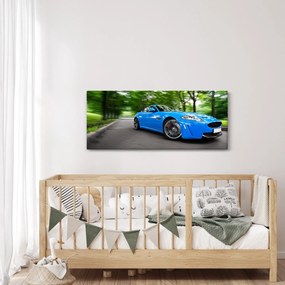 Obraz - Závodné auto (120x50 cm)