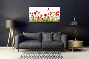 Skleneny obraz Lúka maky kvety príroda 125x50 cm