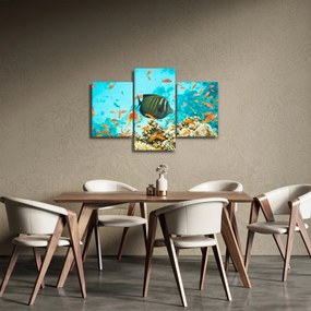 Obraz podmorského sveta (90x60 cm)