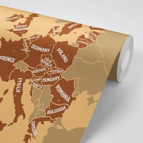 Samolepiaca tapeta hnedá mapa s názvami krajín EÚ - 150x100