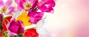 Obraz tulipánov (120x50 cm)