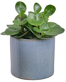 GLAZE Glazovaný kvetináč 17 cm - olivová