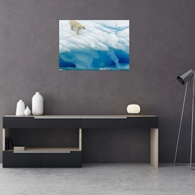 Obraz - Polárny medveď (70x50 cm)