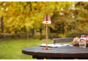 Globo 36637RM - LED Solárne svietidlo LED/0,6W/3V 3000K IP44 medená