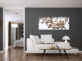 Obraz - Soby (120x50 cm)