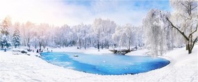 Obraz - Ľadové jazero (120x50 cm)