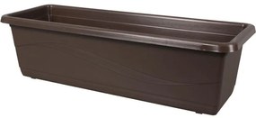 Truhlik Lobelia 40cm/Dk/Hn