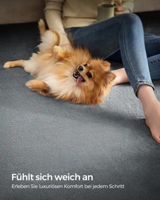 Koberec RUTSCH sivý