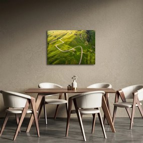 Obraz - Náhorná lúka (70x50 cm)