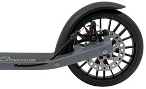 Kolobežka SPORTRIKE ZSP.QZ-2033 strieborná